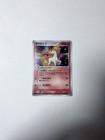 Rapidash