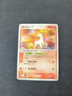 Rapidash