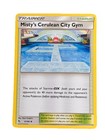 Misty's Cerulean City Gym