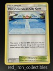 Misty's Cerulean City Gym