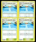 Misty's Cerulean City Gym
