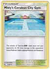Misty's Cerulean City Gym