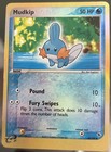 Mudkip