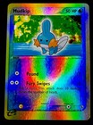 Mudkip