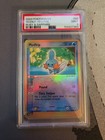 Mudkip