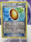 Old Amber Aerodactyl