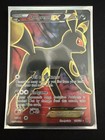 Old Amber Aerodactyl