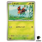 Ledyba