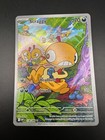 Scraggy