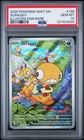 Scraggy