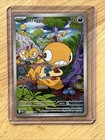 Scraggy