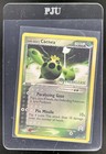 Cacnea