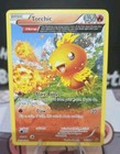 Torchic