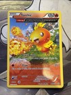 Torchic