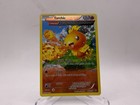 Torchic