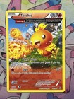 Torchic