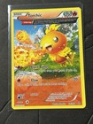 Torchic