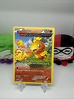 Torchic