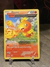 Torchic