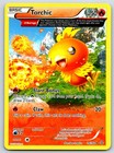 Torchic
