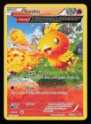 Torchic