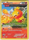 Torchic