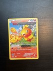 Torchic