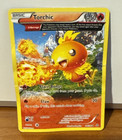 Torchic