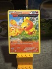 Torchic