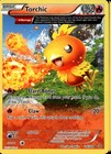 Torchic