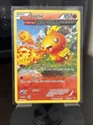 Torchic