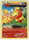 Torchic
