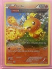 Torchic