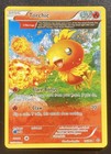 Torchic