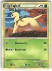 Bayleef