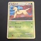 Bayleef