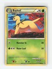 Bayleef
