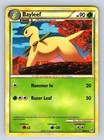 Bayleef