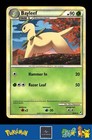 Bayleef