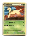 Bayleef