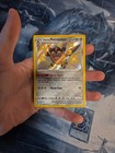 Galarian Perrserker