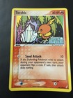 Torchic