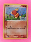 Torchic
