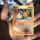 Torchic