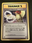 Pidgeot Spirit Link