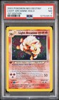 Light Arcanine
