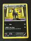 Houndoom