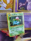 Ivysaur