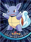 Wartortle