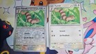 Furret